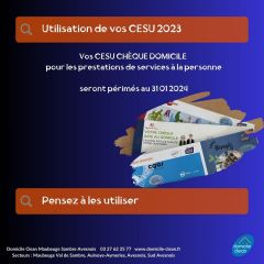 Cesu préfinancé accepté !