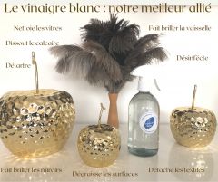 Le vinaigre blanc : l’allié du quotidien